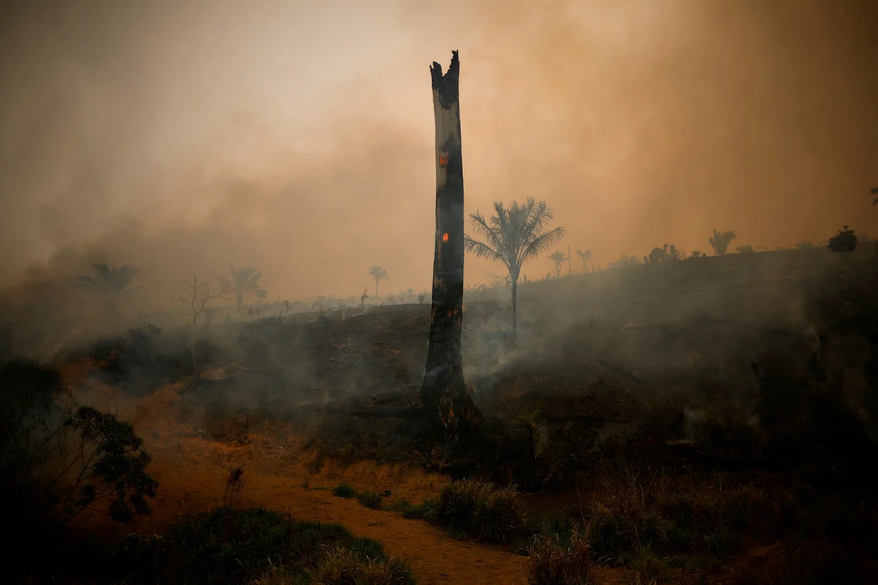 AMAZON-WILDFIRES/REUTERS/Adriano Machado/File Photo