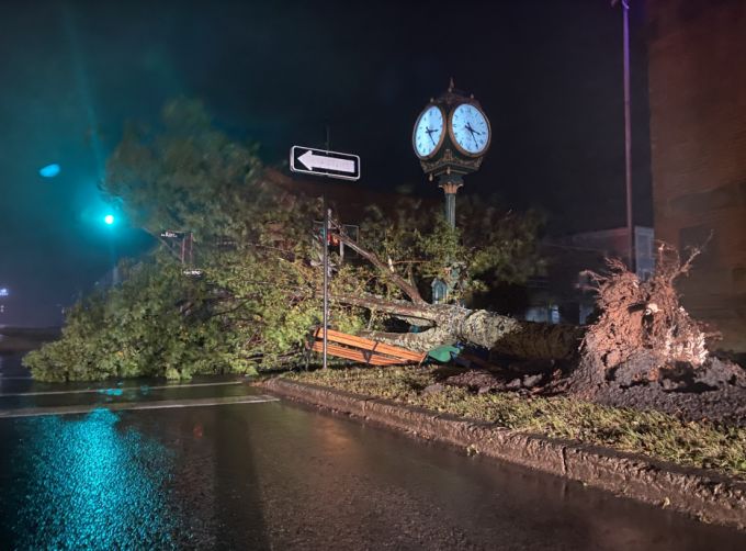 Jaclyn Whittal: Charlottetown, PEI. Hurricane Fiona. Downed Tree. Sept 24, 2022