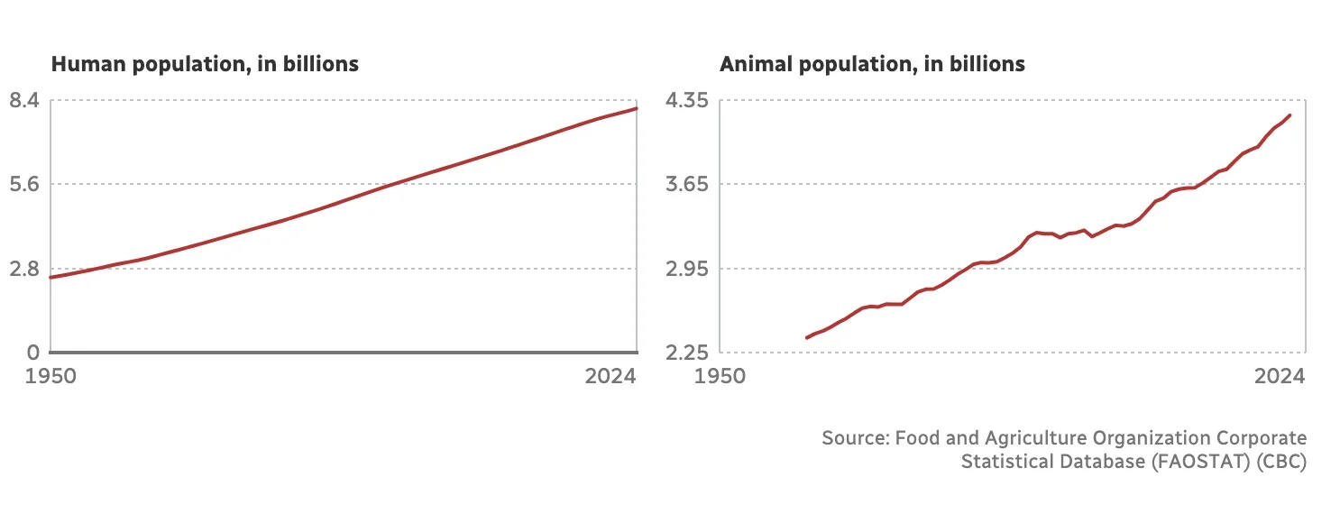 Human population/Food and Agriculture Organization Corporate Statistical Database (FAOSTAT) (CBC)