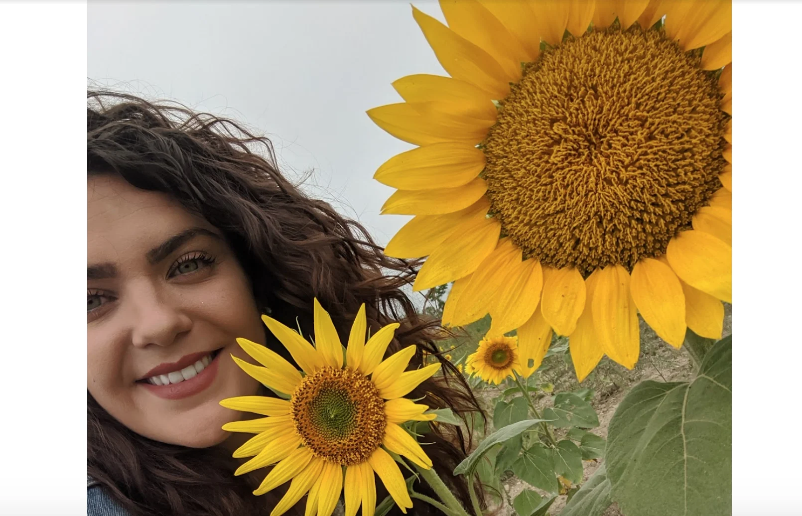 Marta Czurylowicz in Mississauga's sunflower field 