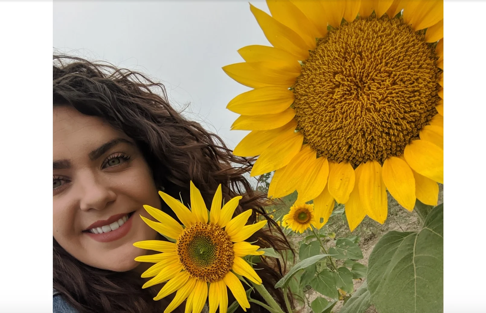 Marta Czurylowicz in Mississauga's sunflower field