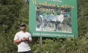 Reality TV star Blake Moynes spearheads campaign to help save Ontario’s caribou