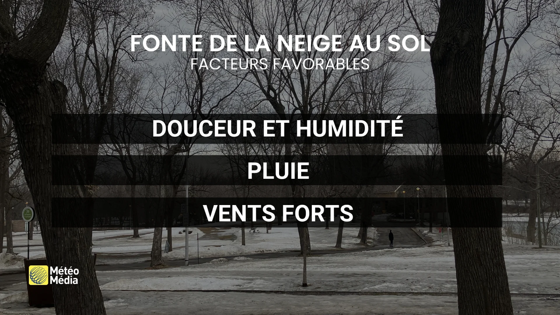 fonte de la neige au sol