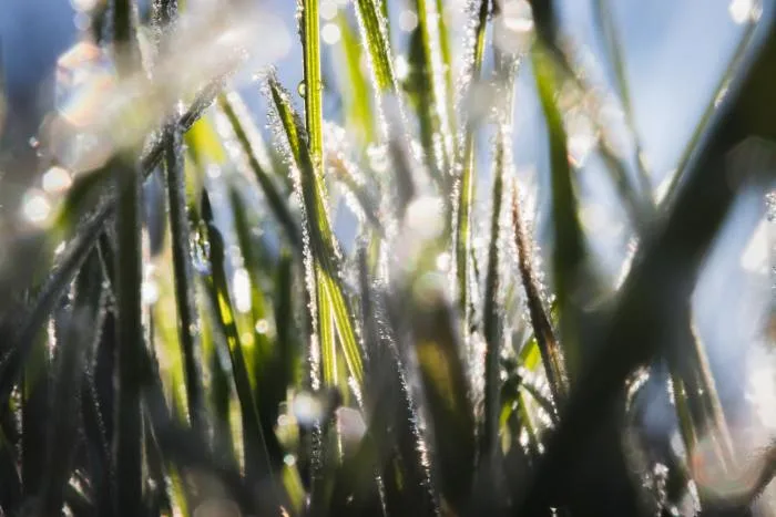 Neige au sol : un hiver plutôt avare pour la majorité de la province