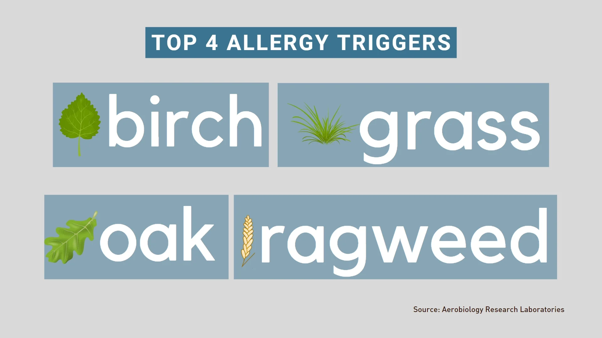 Allergy graphic triggers (1)