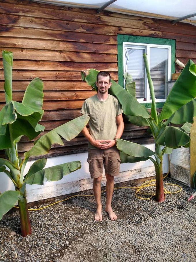 soles-bananas-august/Yukon Soles via CBC