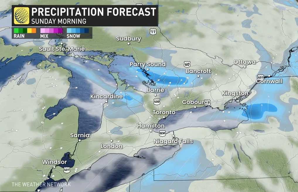 Baron - Ontario Sunday morning snow - Jan23