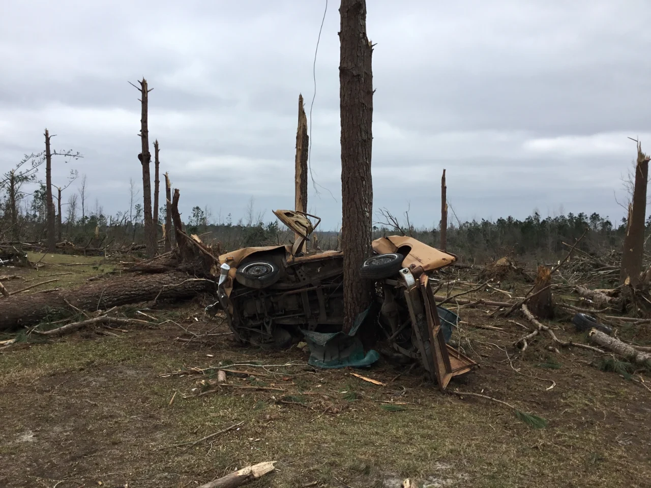 Car wrapped around a tree in Beauregard, Alabama