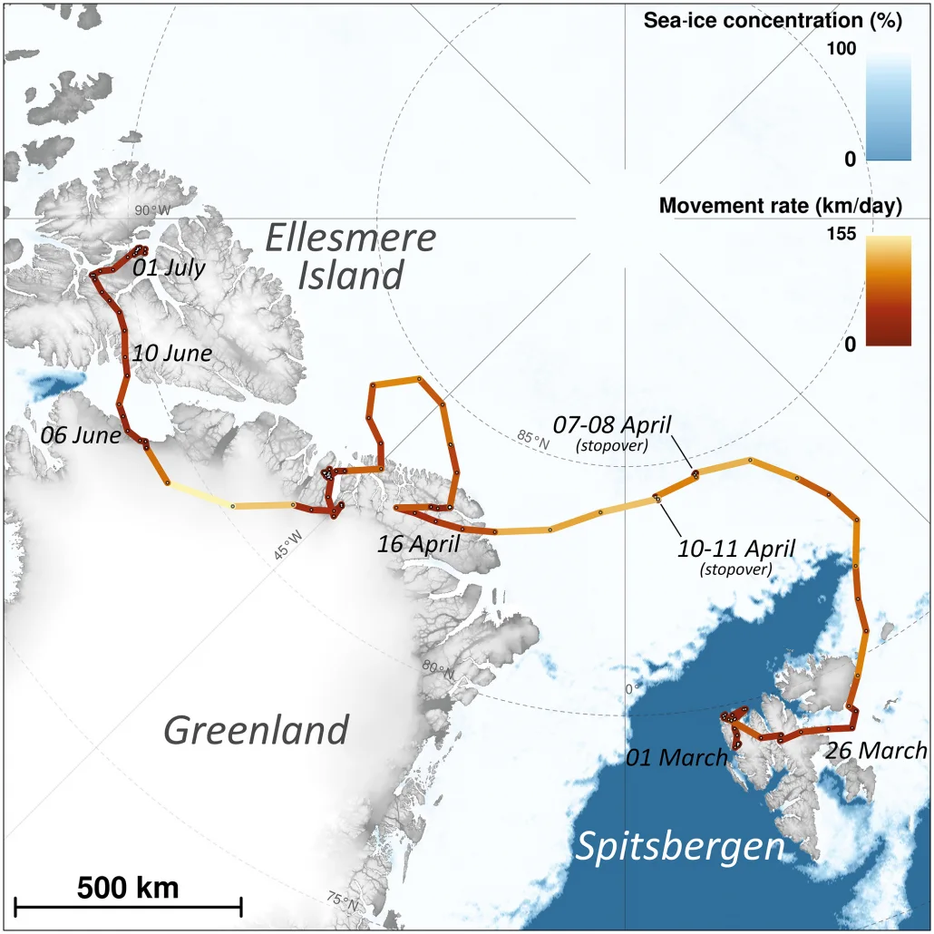 Norway tracking Polar Institute