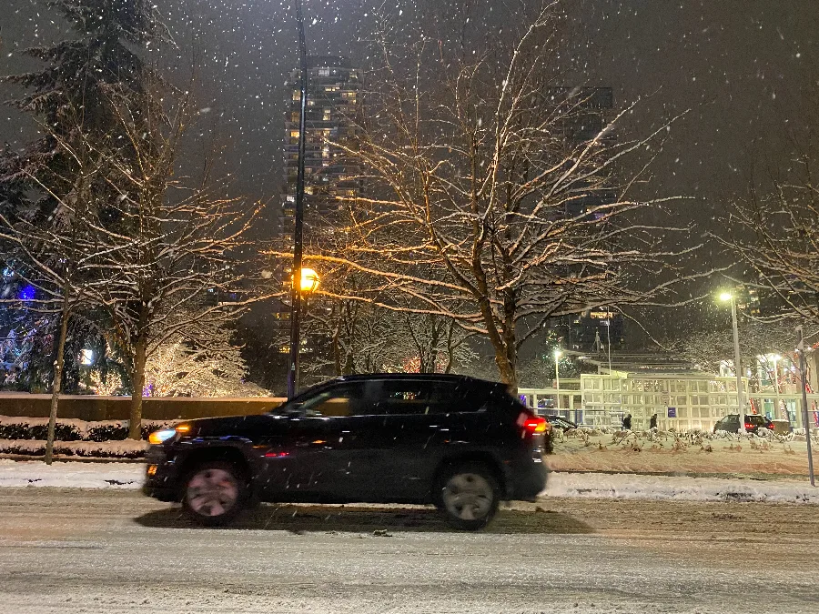 25 cm and counting: Southern B.C. wakes up to a blanket of snowfall