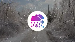 Heavy snow and ice can cause damage to trees and roofs across affected areas—read