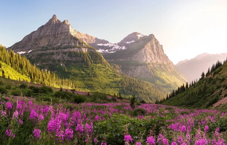 A petition to sell Montana to Canada is going viral