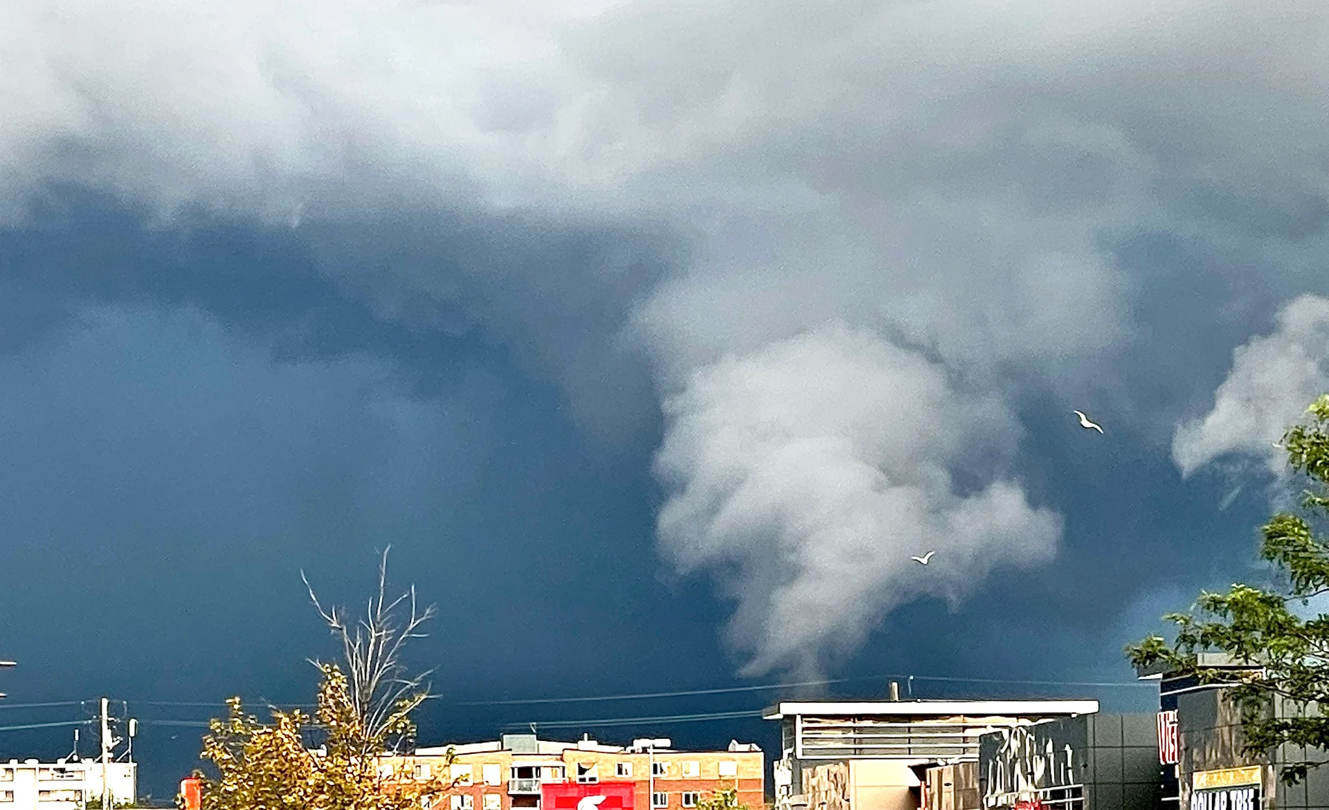 (UGC/Mark Newby) Scud cloud during a thunderstorm in Stoney Creek, Ontario