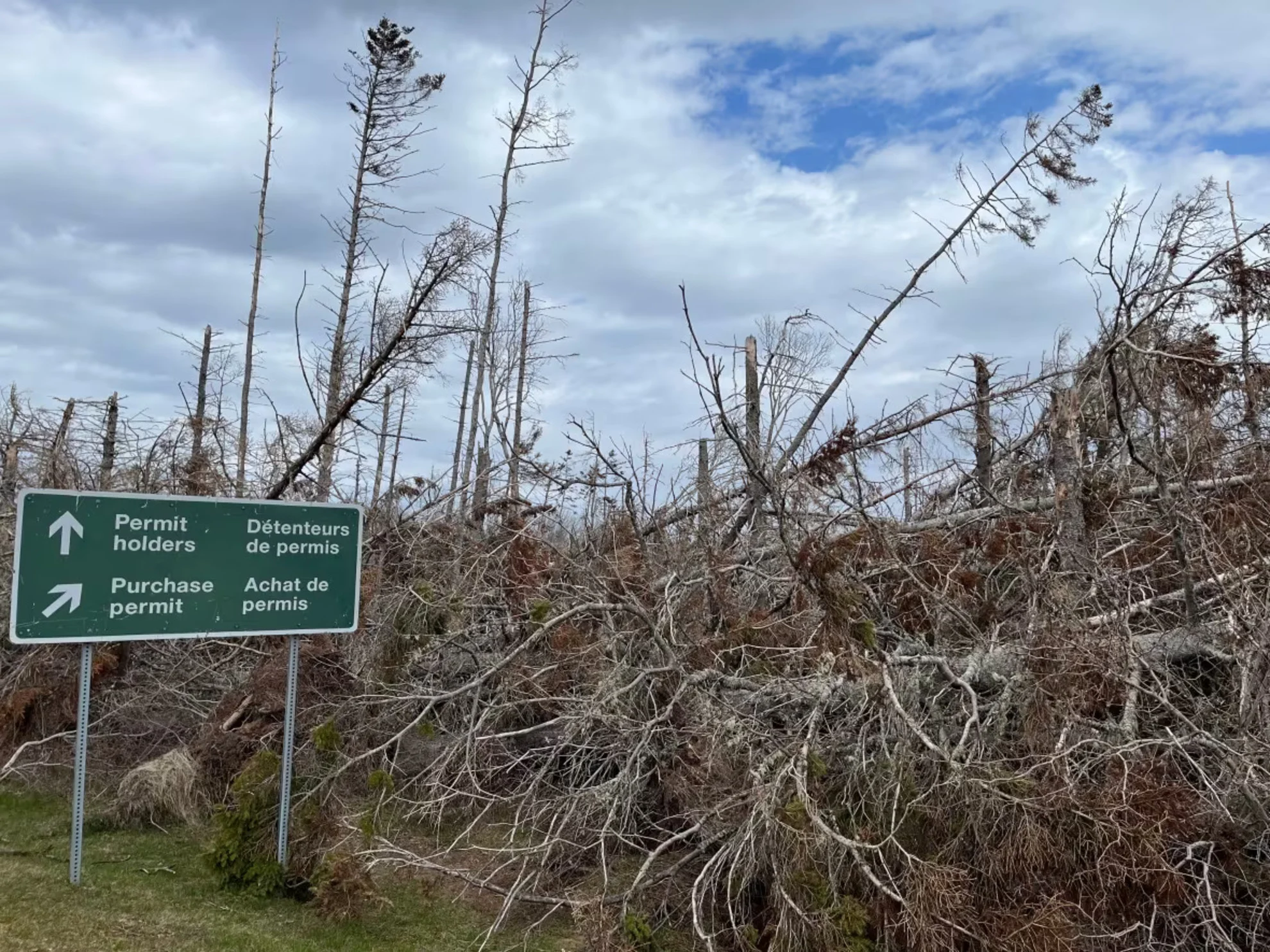 North Shore residents fear Fiona tree debris could feed a wildfire