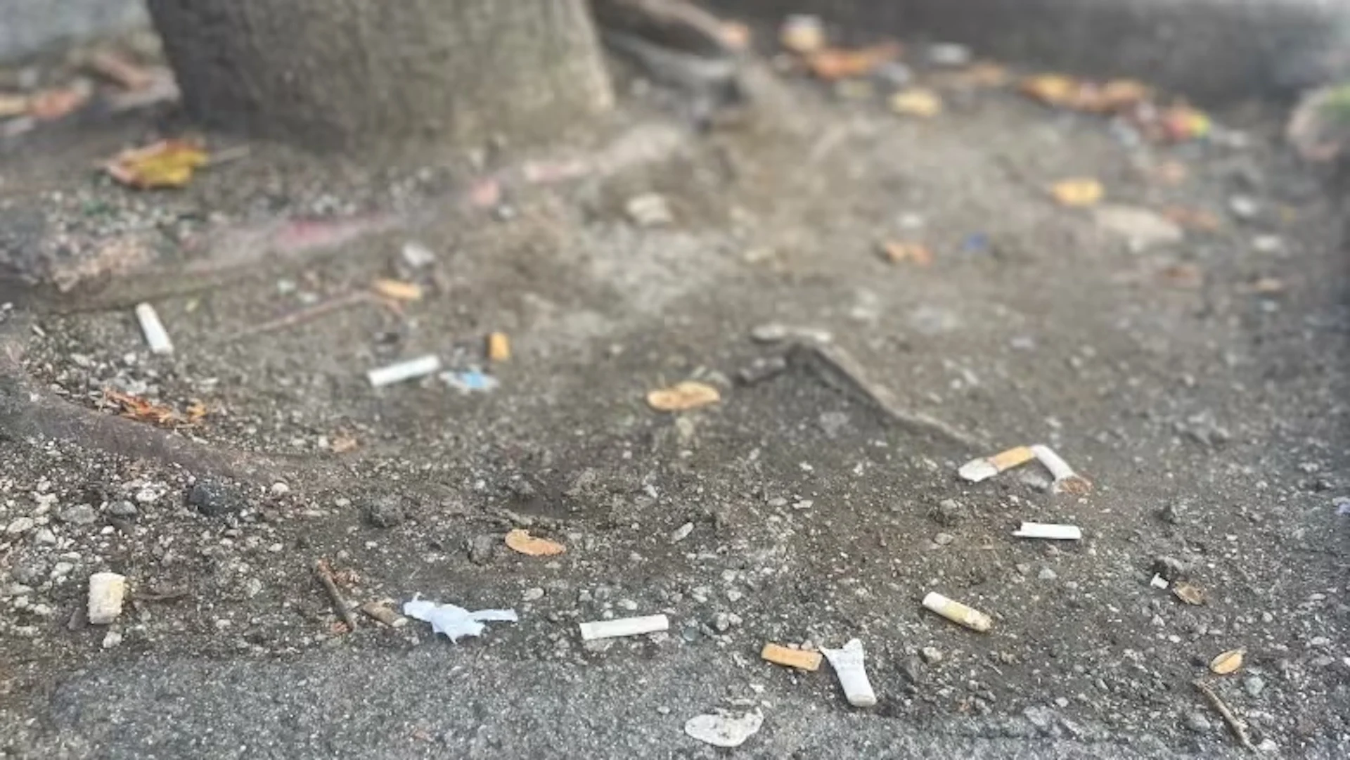 Cigarette butts still Vancouver's most littered item, seemingly unsolvable issue