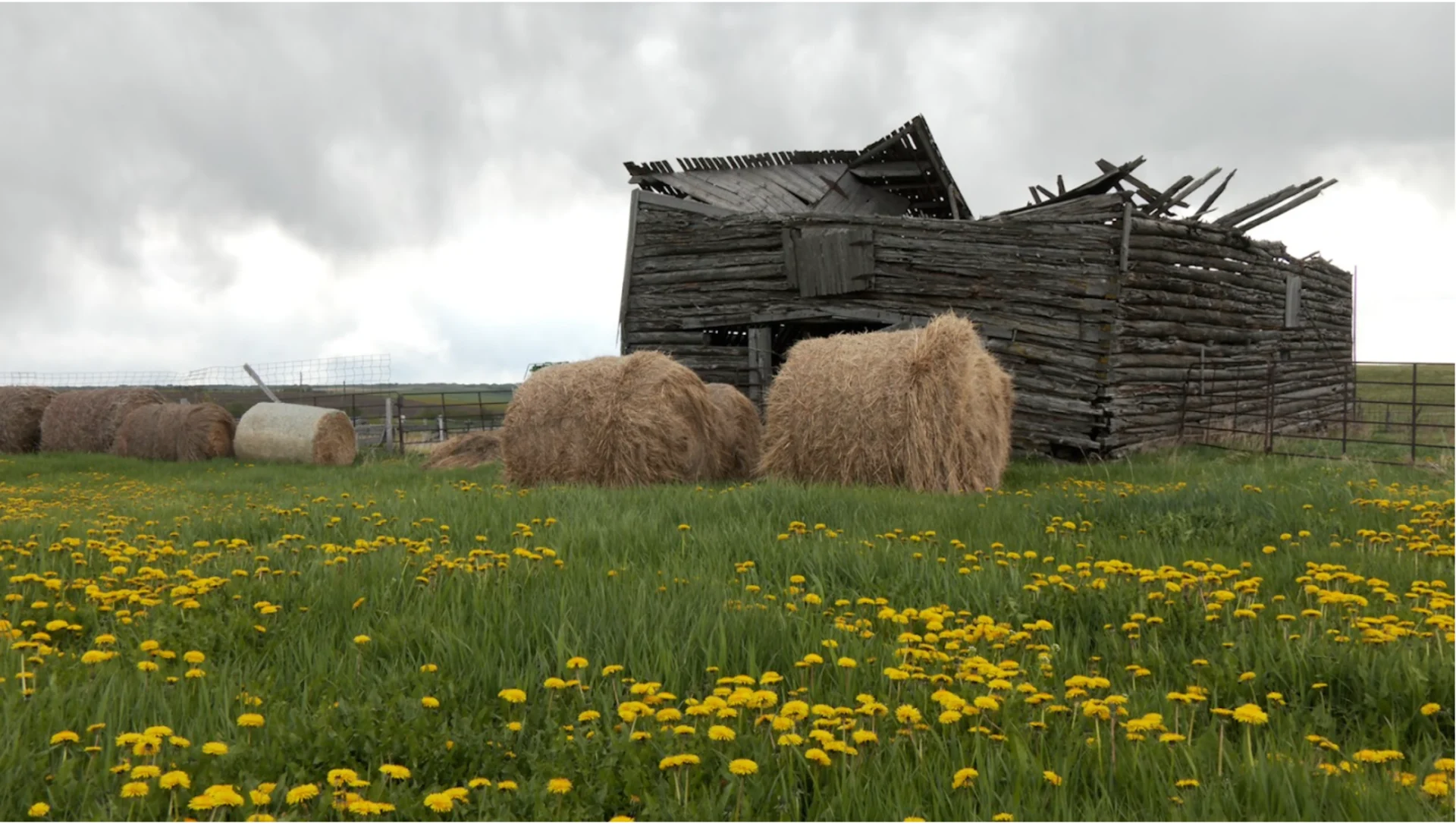 Connor O’Donovan | The Summit Hill Farms CSA occupies a small portion of a larger, multi-generation farm north of Cochrane, Alberta.