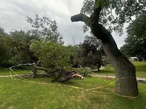 Tornado-warned storms bring reports of damage and flooding in parts of Ontario. Photos, here