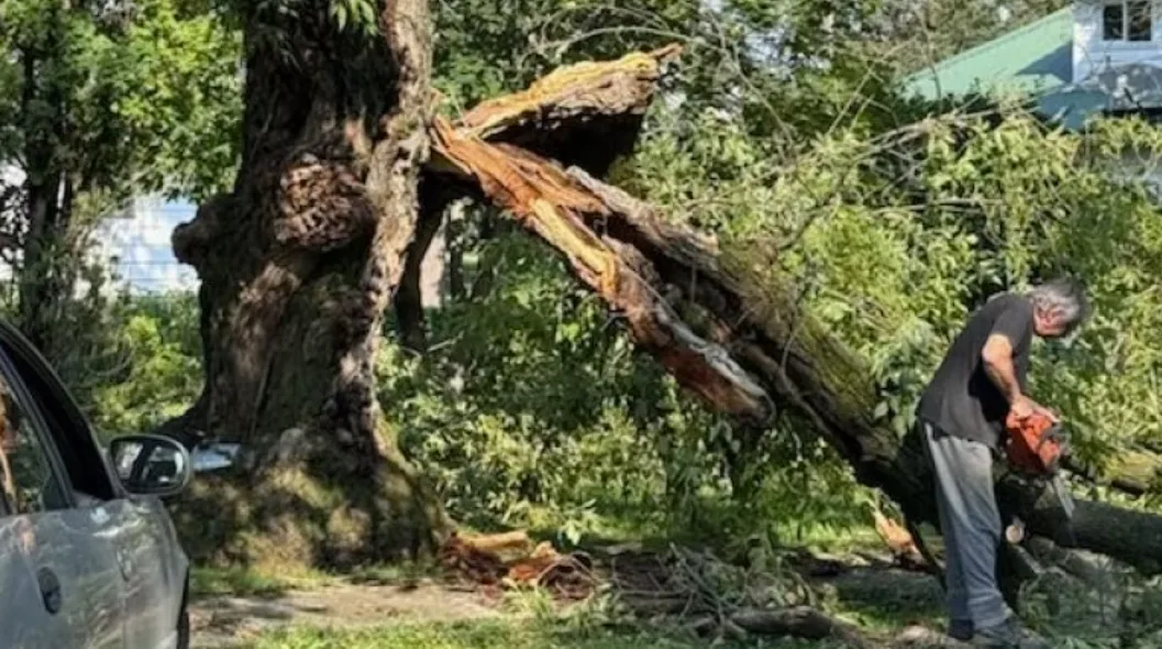 CBC: A severe thunderstorm over the weekend left parts of southeastern Saskatchewan in a disarray causing damage to some buildings, vehicles, and uprooting trees.  (Submitted by Crystal Rankin)