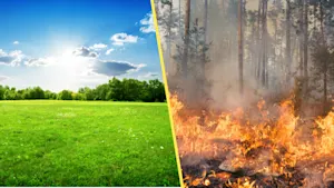 Our upcoming El Niño summer has some major pros and cons
