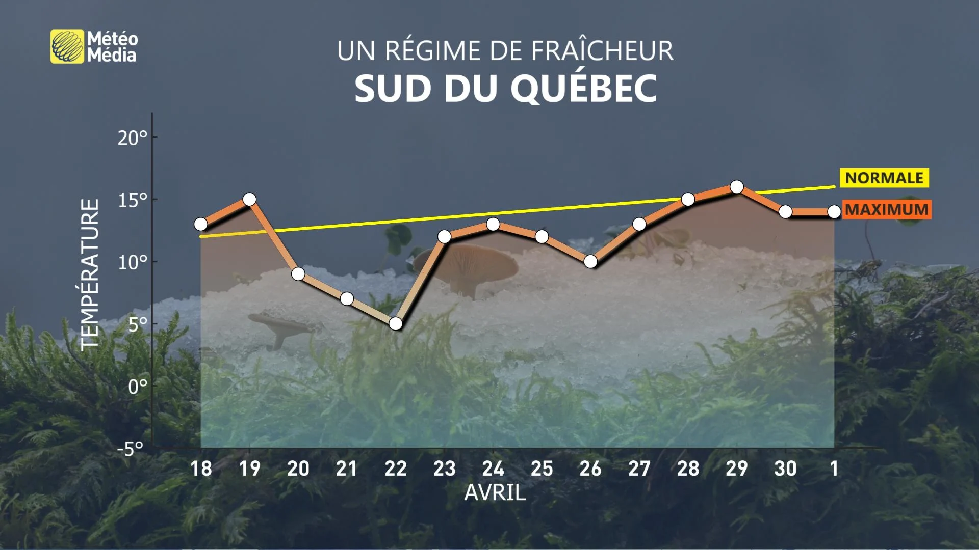 3 - METEOGRAMME 14 JOURS