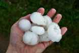 October 5, 2010 - The Hail That Hammered Phoenix