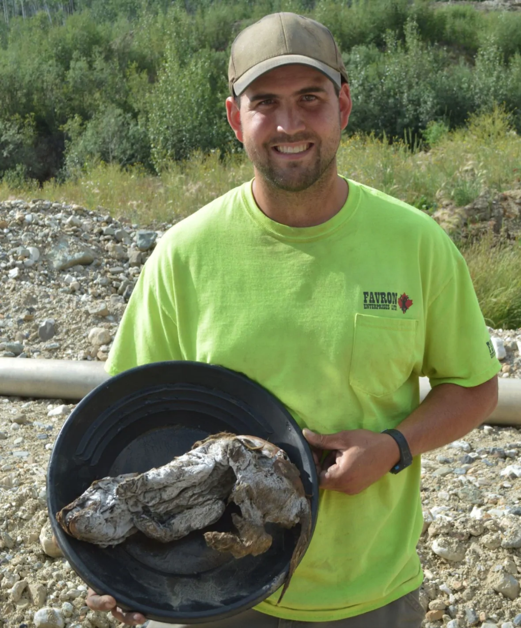 New details revealed on 57,000 year-old wolf pup mummy found in Yukon - The  Weather Network
