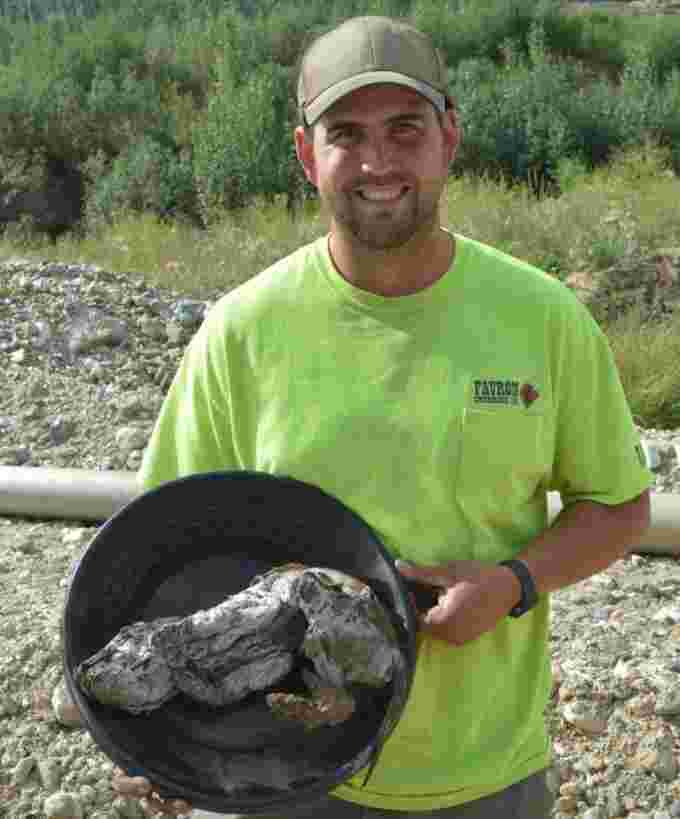 More precious than gold? Placer miner Neil Loveless put the wolf pup in a gold pan when he found it. At first, he thought it was a puppy that had fallen down a mine shaft. (Government of Yukon)