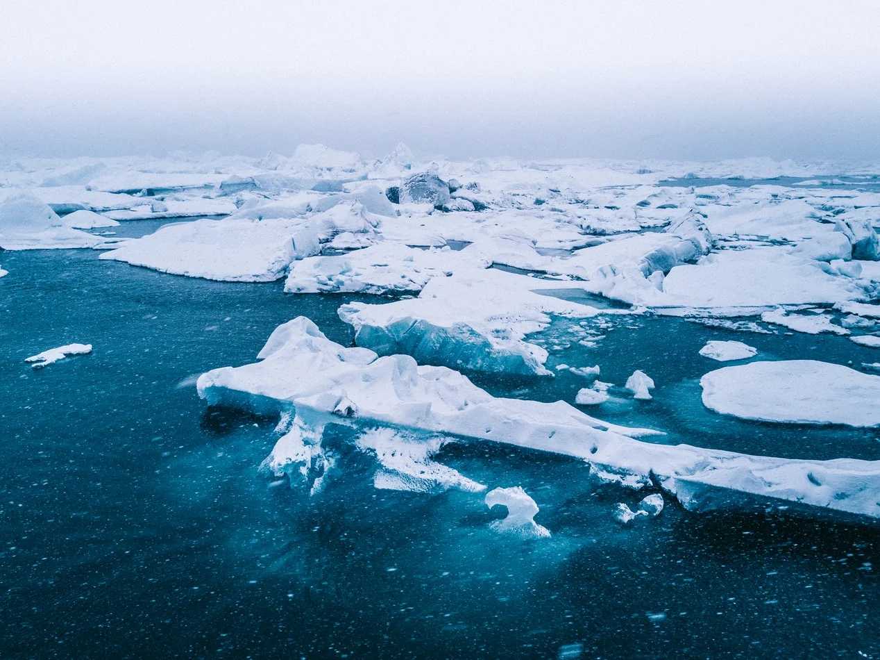 La vie en Arctique, semblable à la vie extraterrestre ?