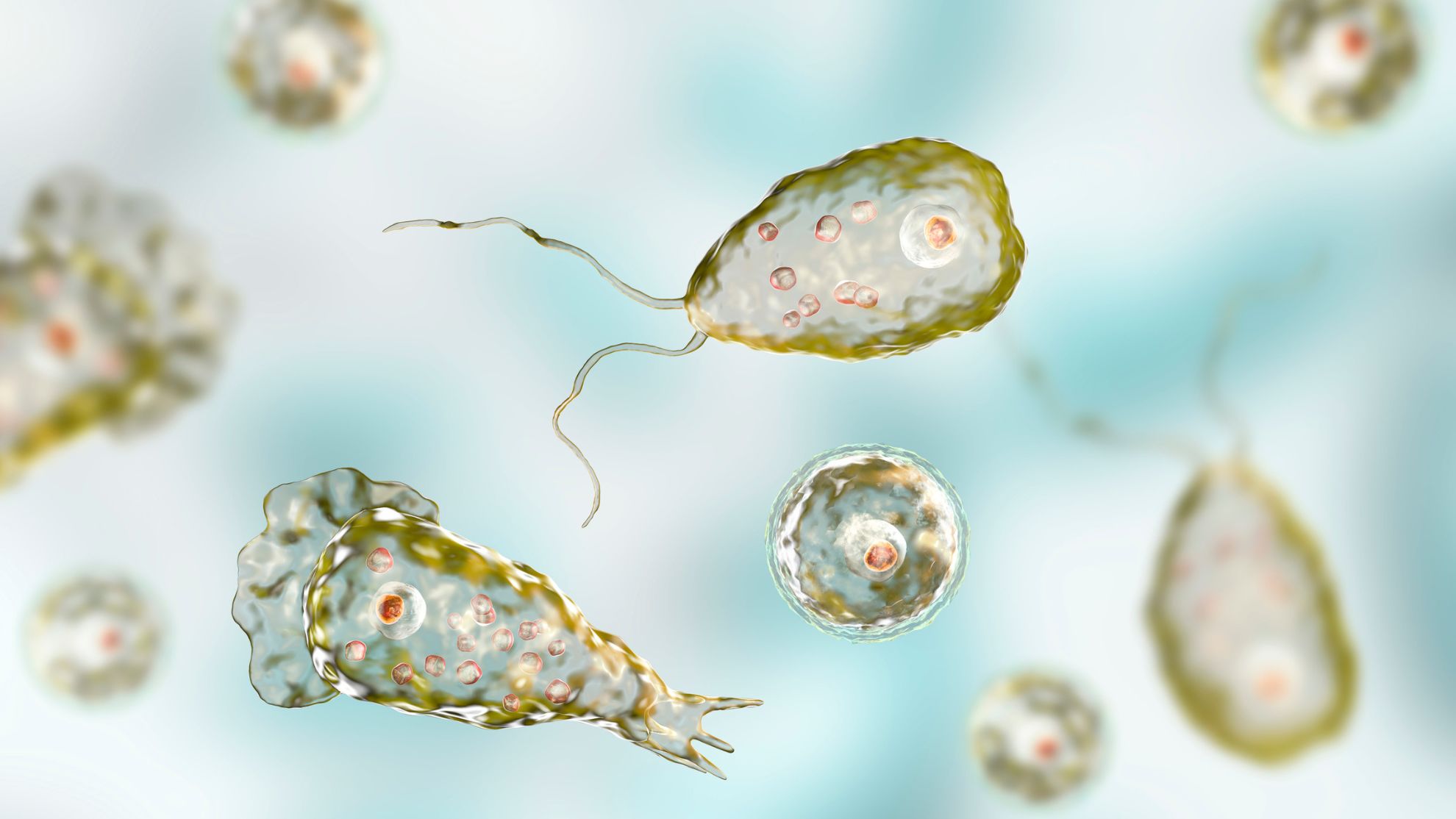 Scientists detect “brain-eating amoeba” in 3 iconic parks
