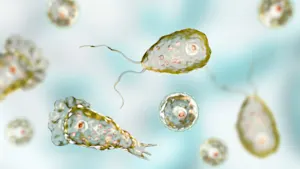 Scientists detect “brain-eating amoeba” in three iconic U.S. parks