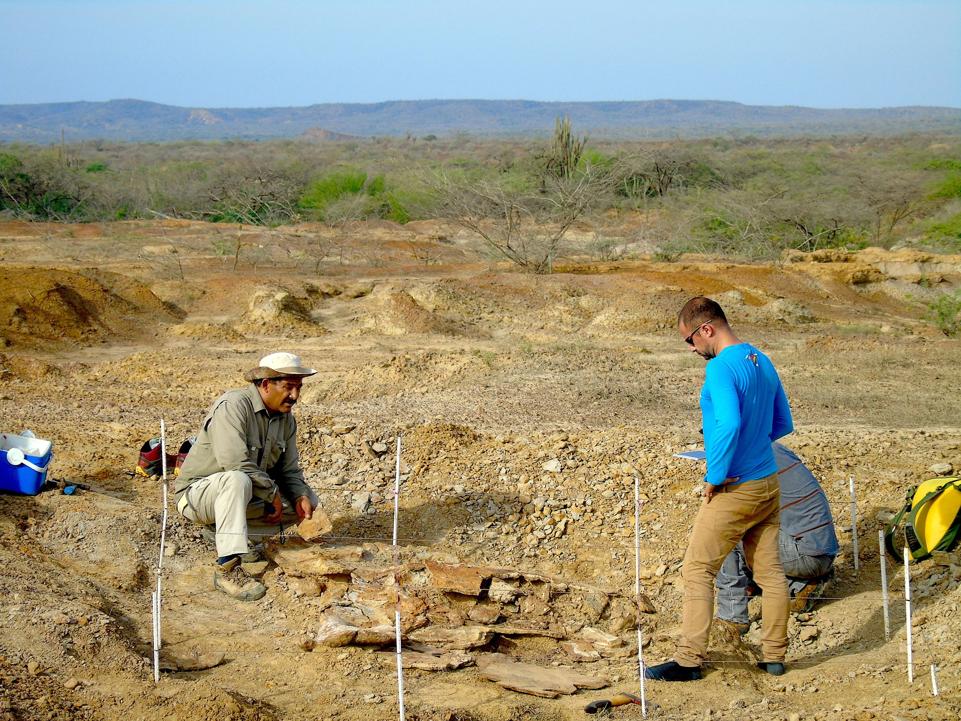 REUTERS: Colombian and Venezuelan paleontologists work together during the excavation of the giant turtle Stupendemys geographicus in northern Venezuela, in an undated picture released February 12, 2020. Edwin Cadena/Handout via REUTERS.