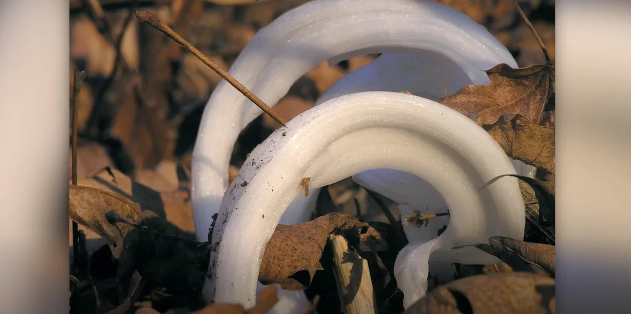 Fleurs de glace : le miracle glacé que vous avez peu de chance de voir