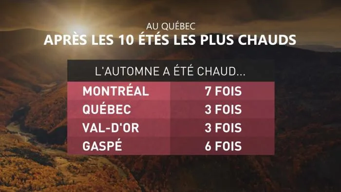 AUTOMNE3 TOP 10 (1)