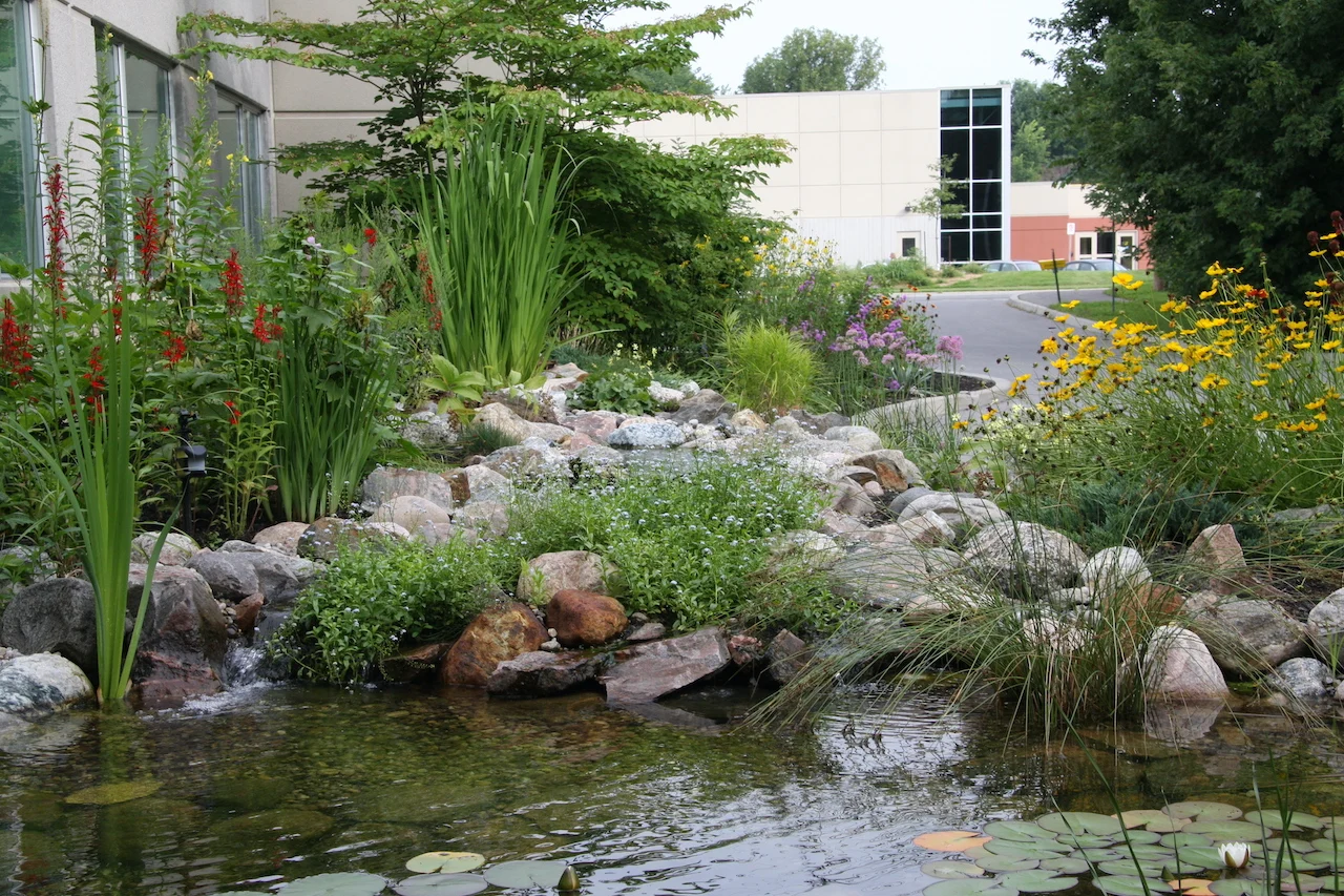 Pond at Canadian Wildlife Federation