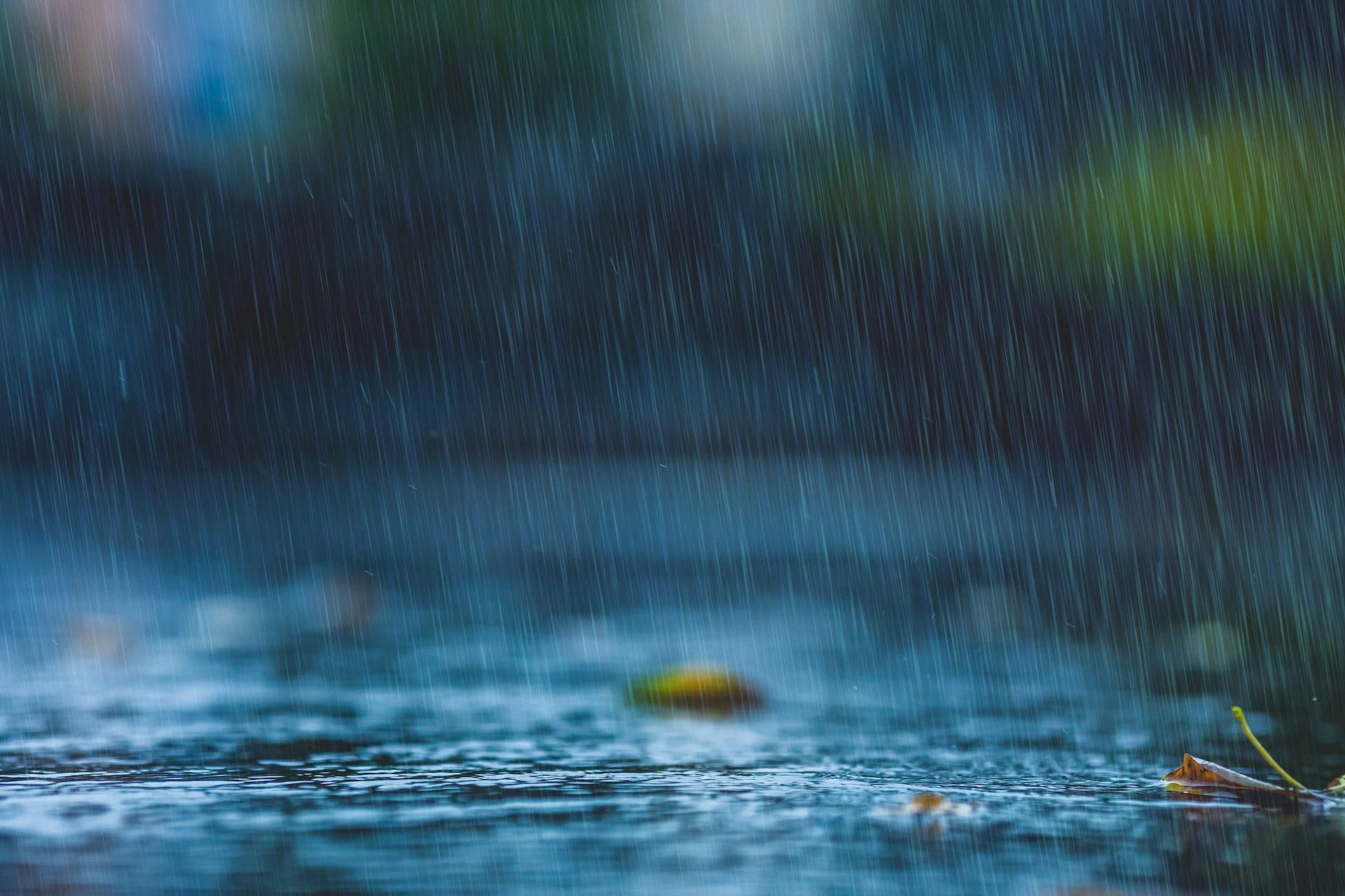 Rain/Getty Images
