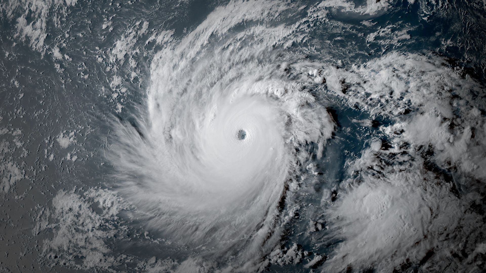 From Hawaii to Halifax, why is this hurricane season so bizarre?