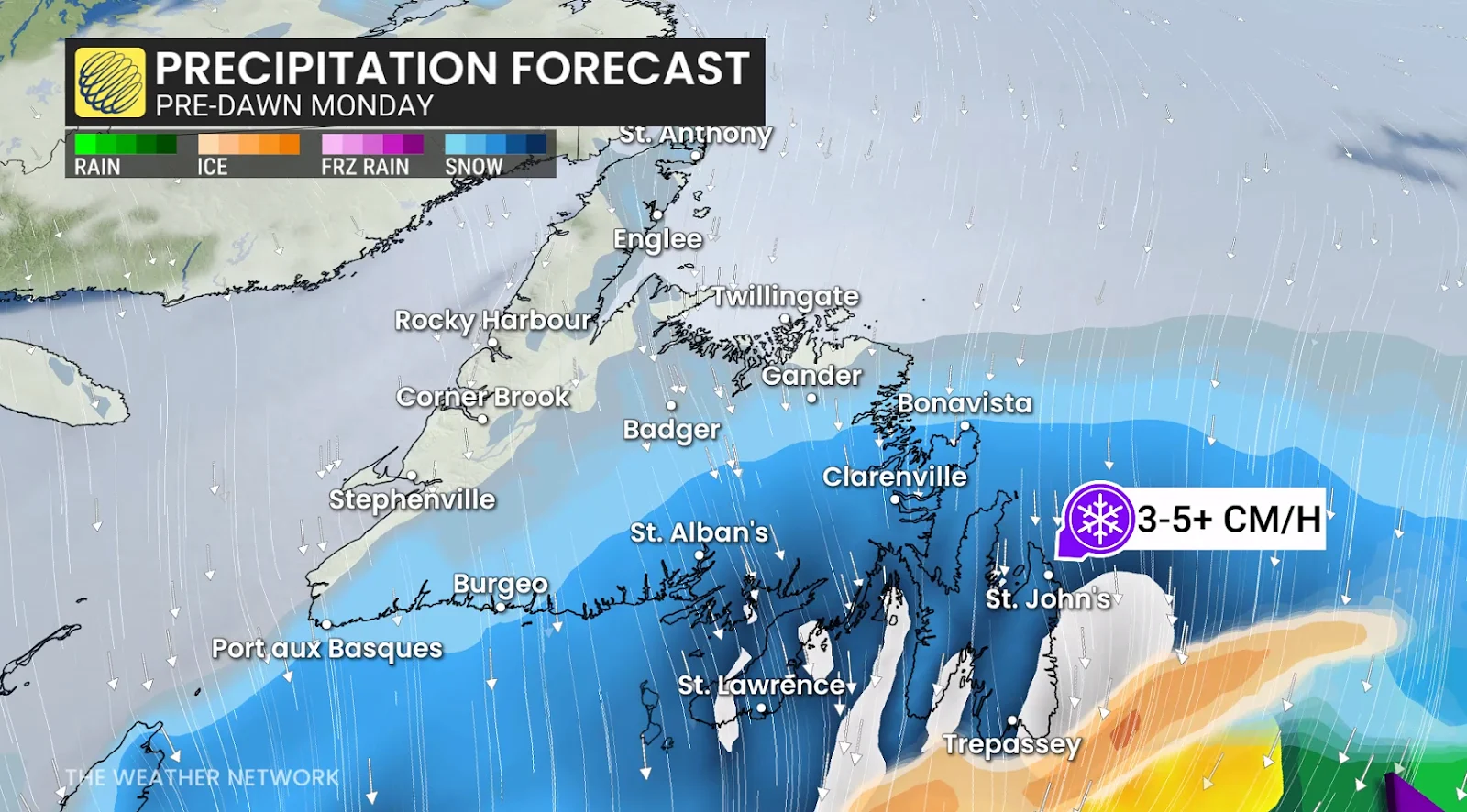 Snowfall, Storm, Snow, Blizzard, Atlantic Canada, Cold, Feb. 01, 2026. (The Weather Network/Tyler Hamilton)