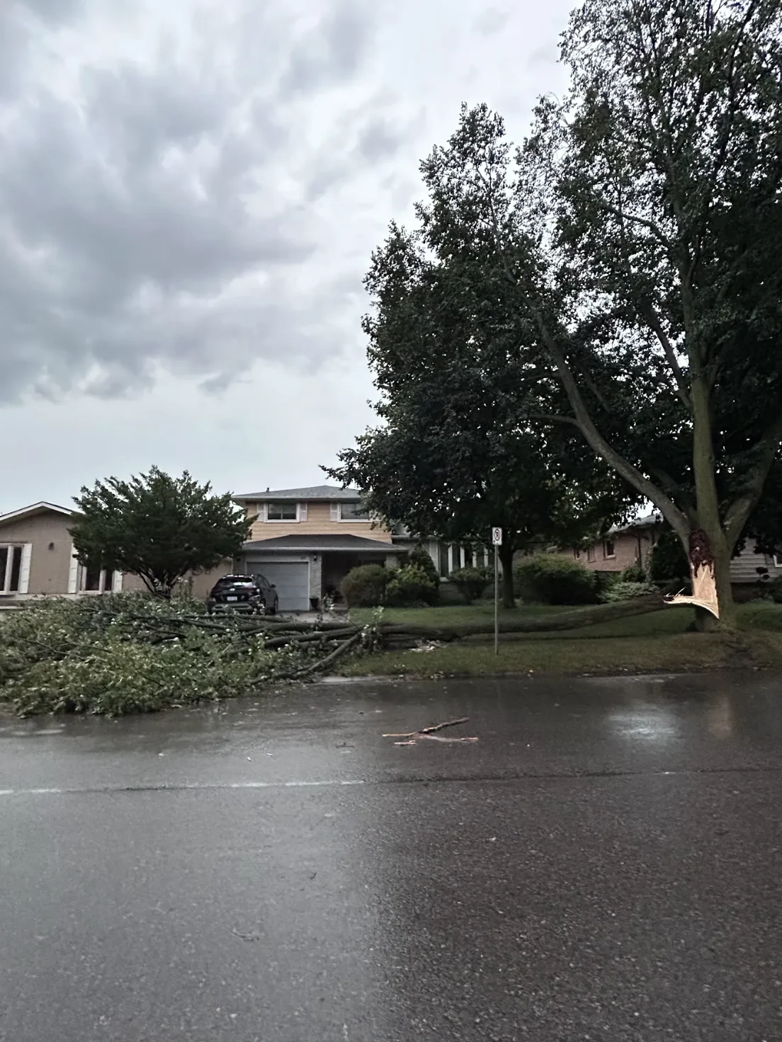 Lia Nardone/UGC: Tree down during thunderstorm in Brantford, Ontario, Sept. 2, 2026.