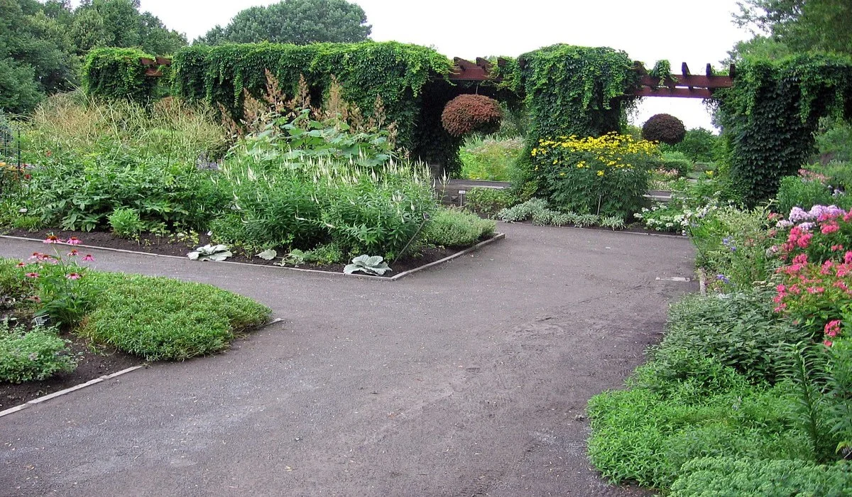 Réouverture du Jardin botanique : voici quoi savoir avant votre visite