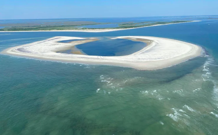 New island emerges off New Jersey coast, and endangered birds are flocking to it