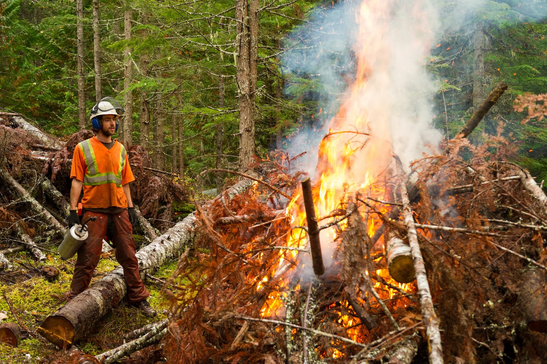 Prescribed burn/Getty Images-493251462