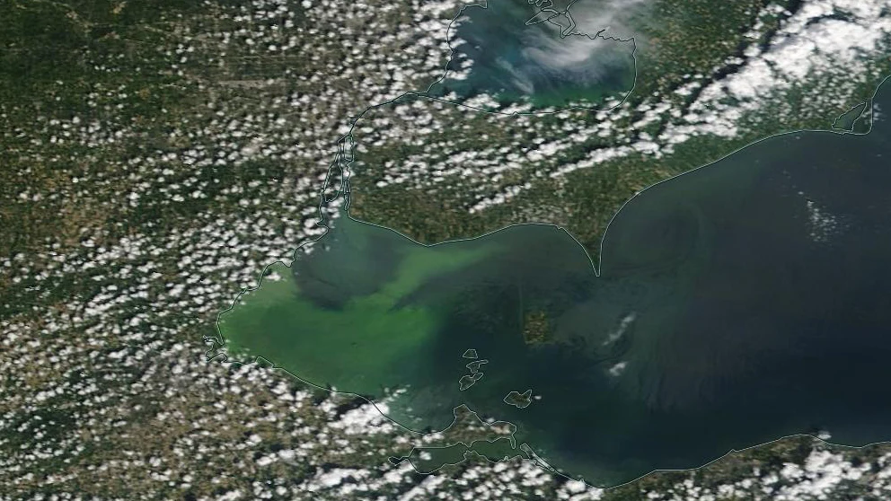 Lake Erie's toxic algal bloom spreads, prompting warnings