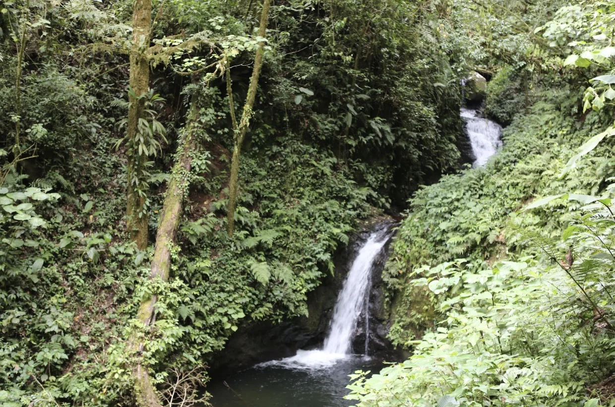 Sponsored - Collette - Costa Rica: Cloud Forest