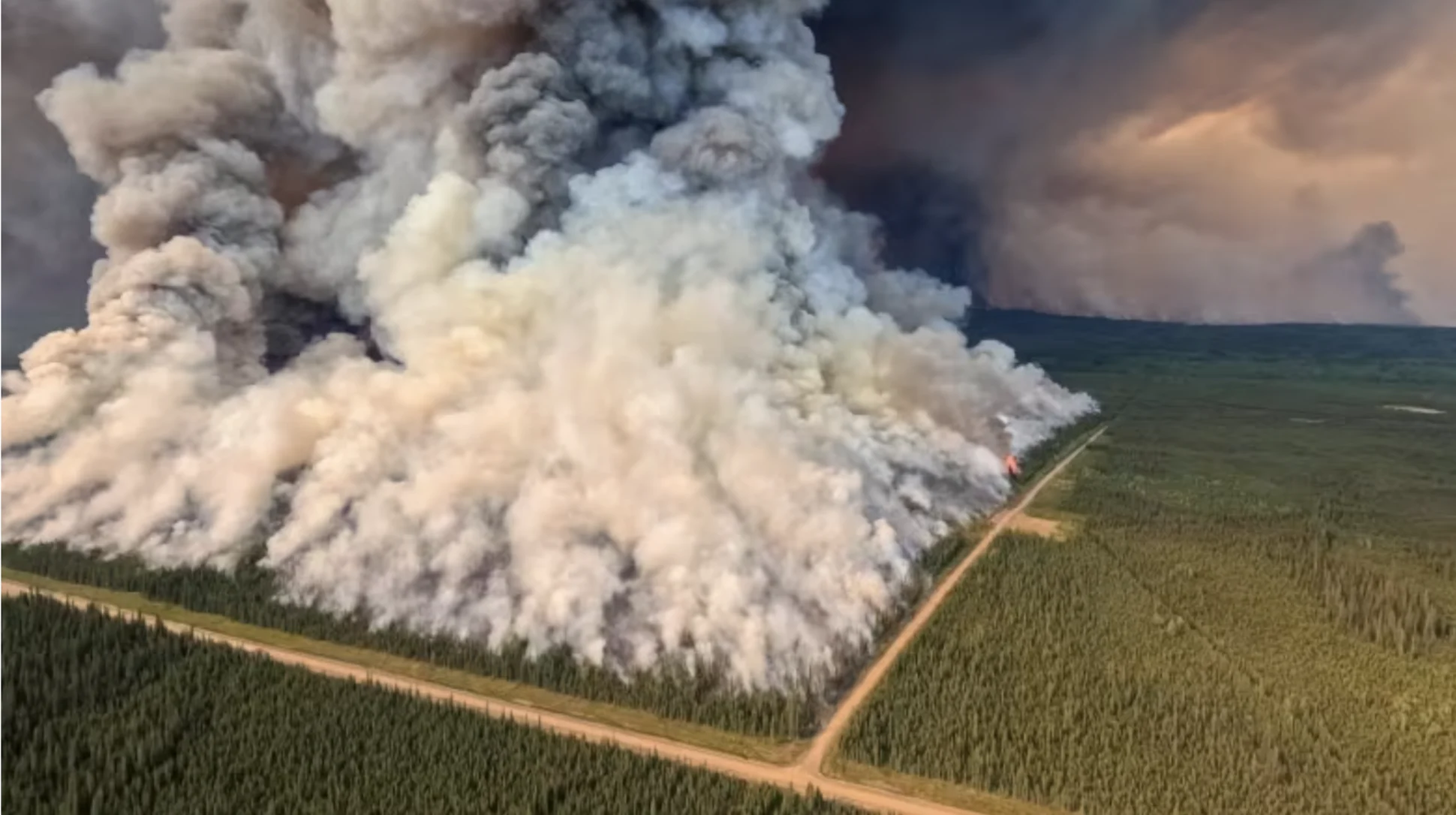 Donnie Creek fire now larger than P.E.I.: What happens once it stops burning?