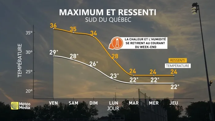 CANICULE4 (1)