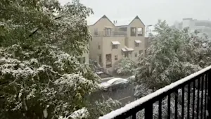 A wild May snowstorm dumped more than 2 feet of snow in this U.S. state