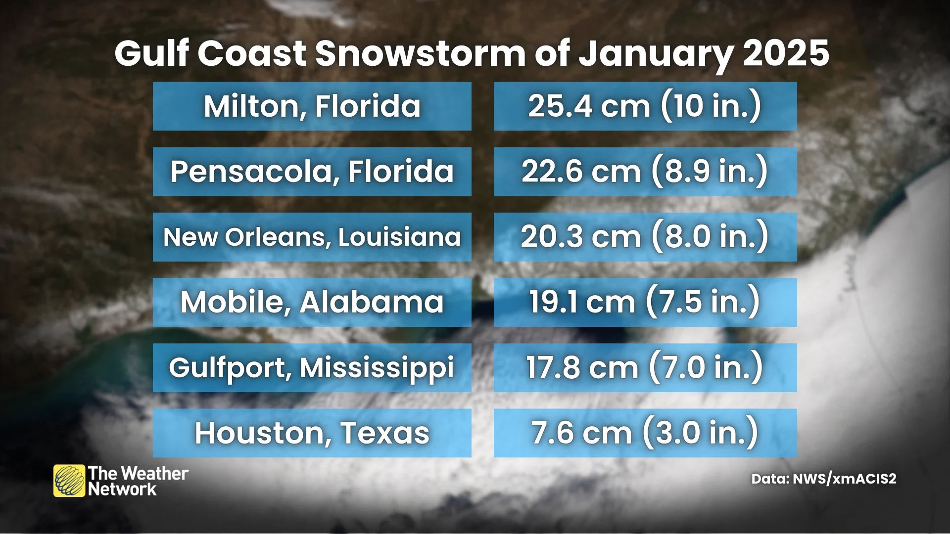 Gulf Coast January 2025 Snow Totals