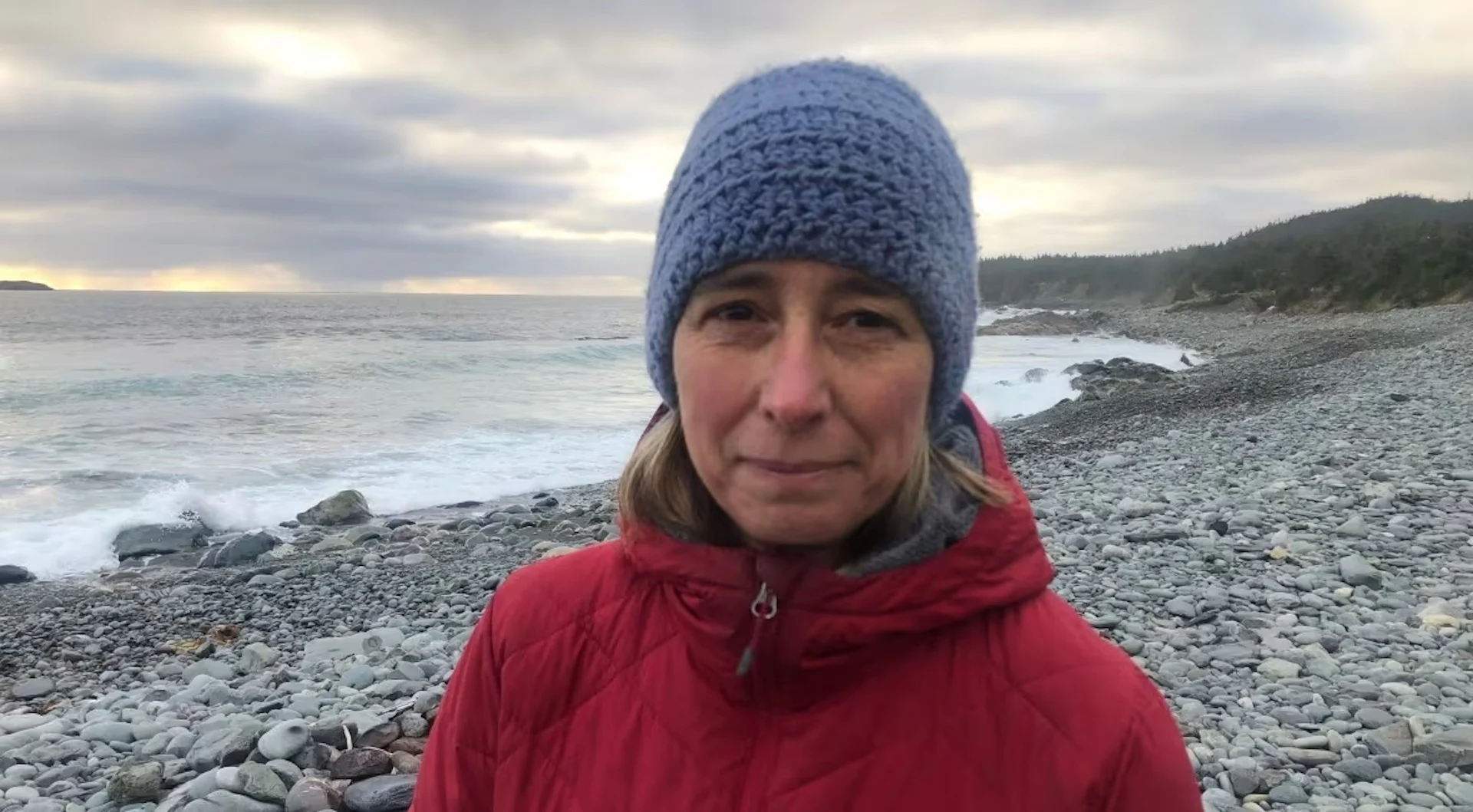 Newfoundland's Petrel Patrol helps stranded birds get back on the wing