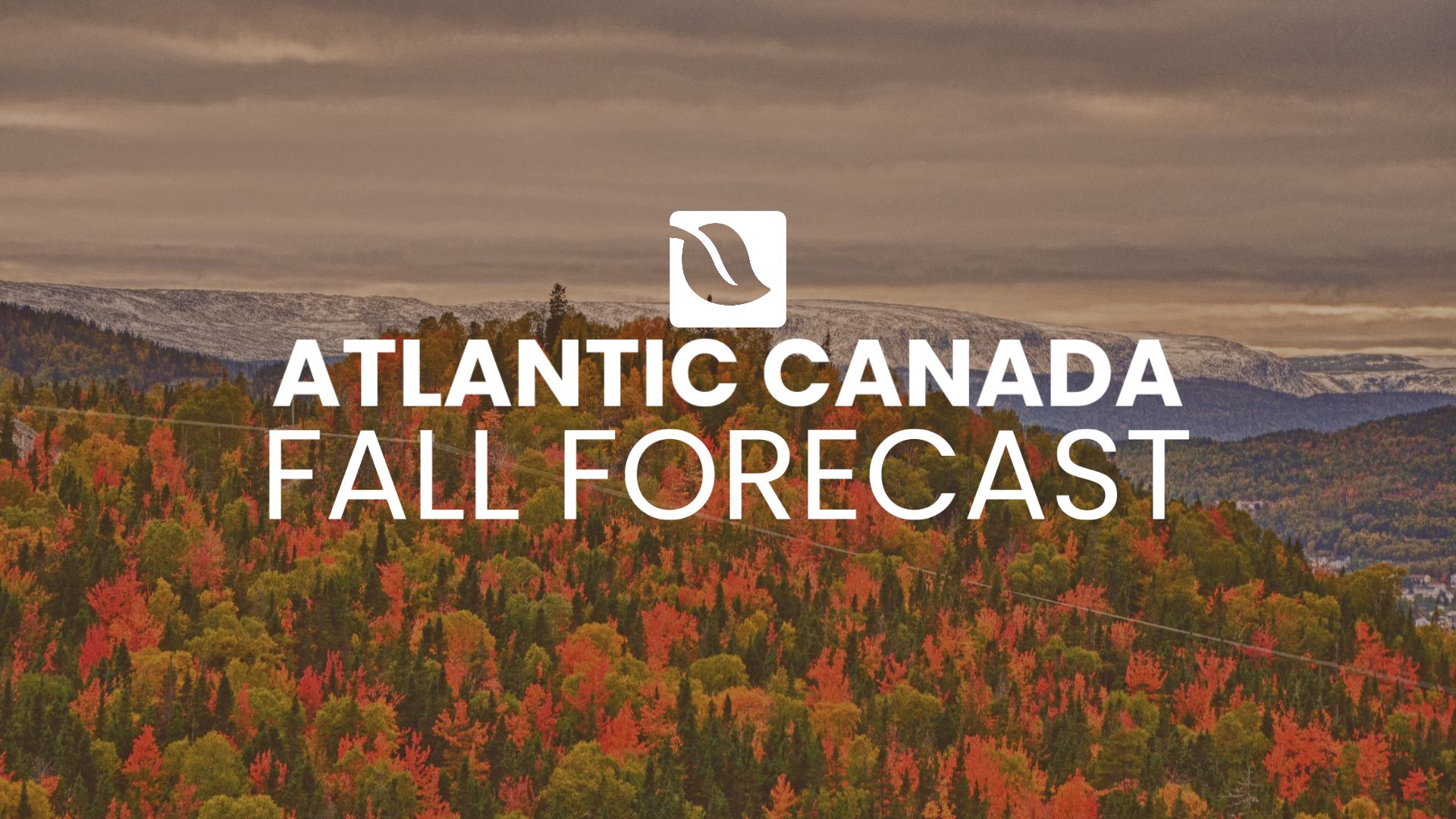 Fall Forecast: Atlantic Canada will watch for impactful storms this fall