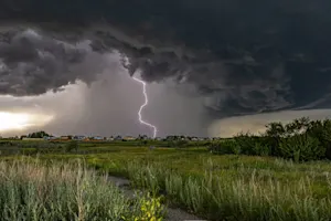 Les photos nature les plus spectaculaires de 2025, les voici.